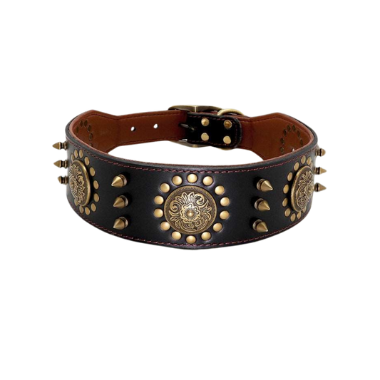 Arizona Heritage Collar