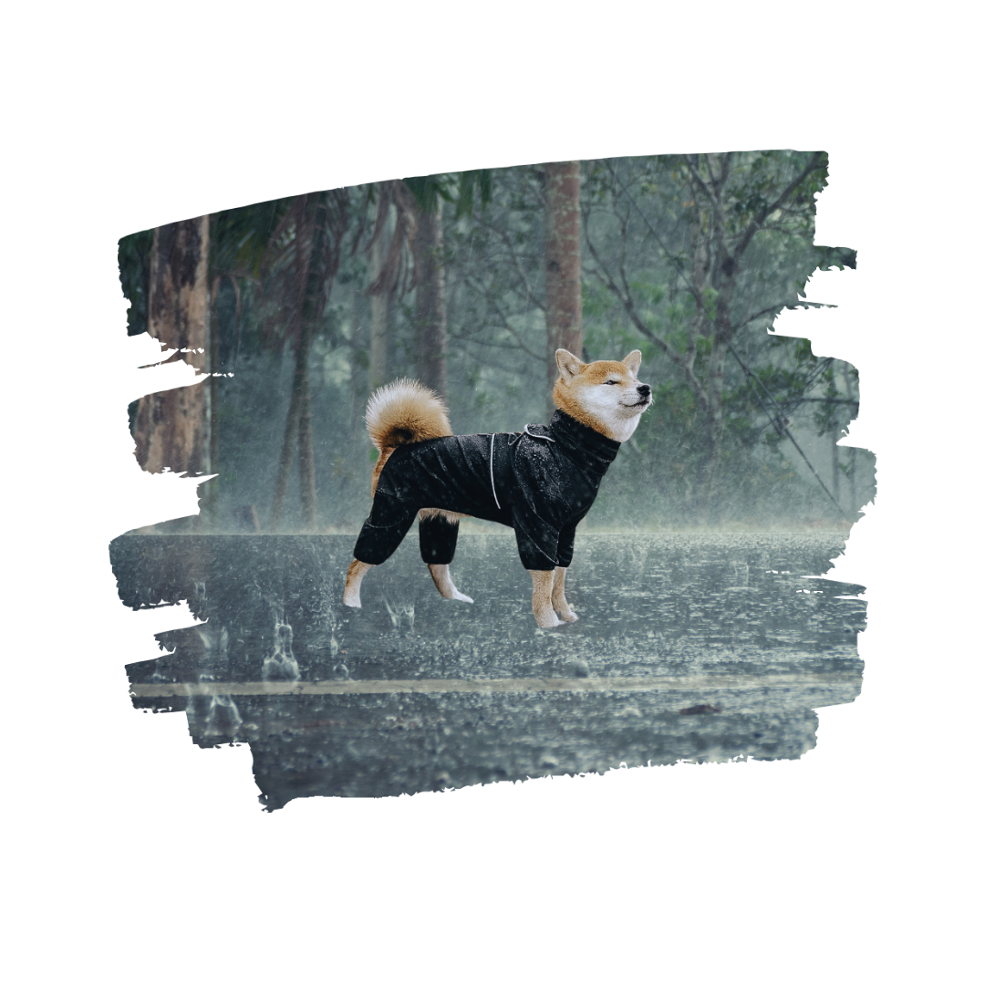 Canis Coats