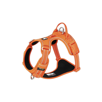 TrueLove Cordura Harness