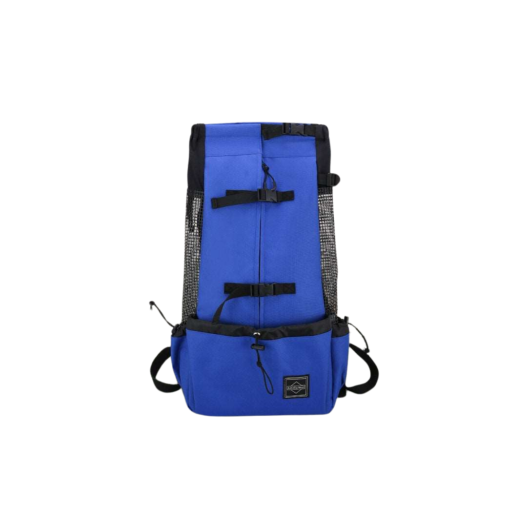 a front picture of a blue dog carrier backpack