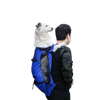 a picture of a human with a dog carrier backpack in blue with a white dog inside