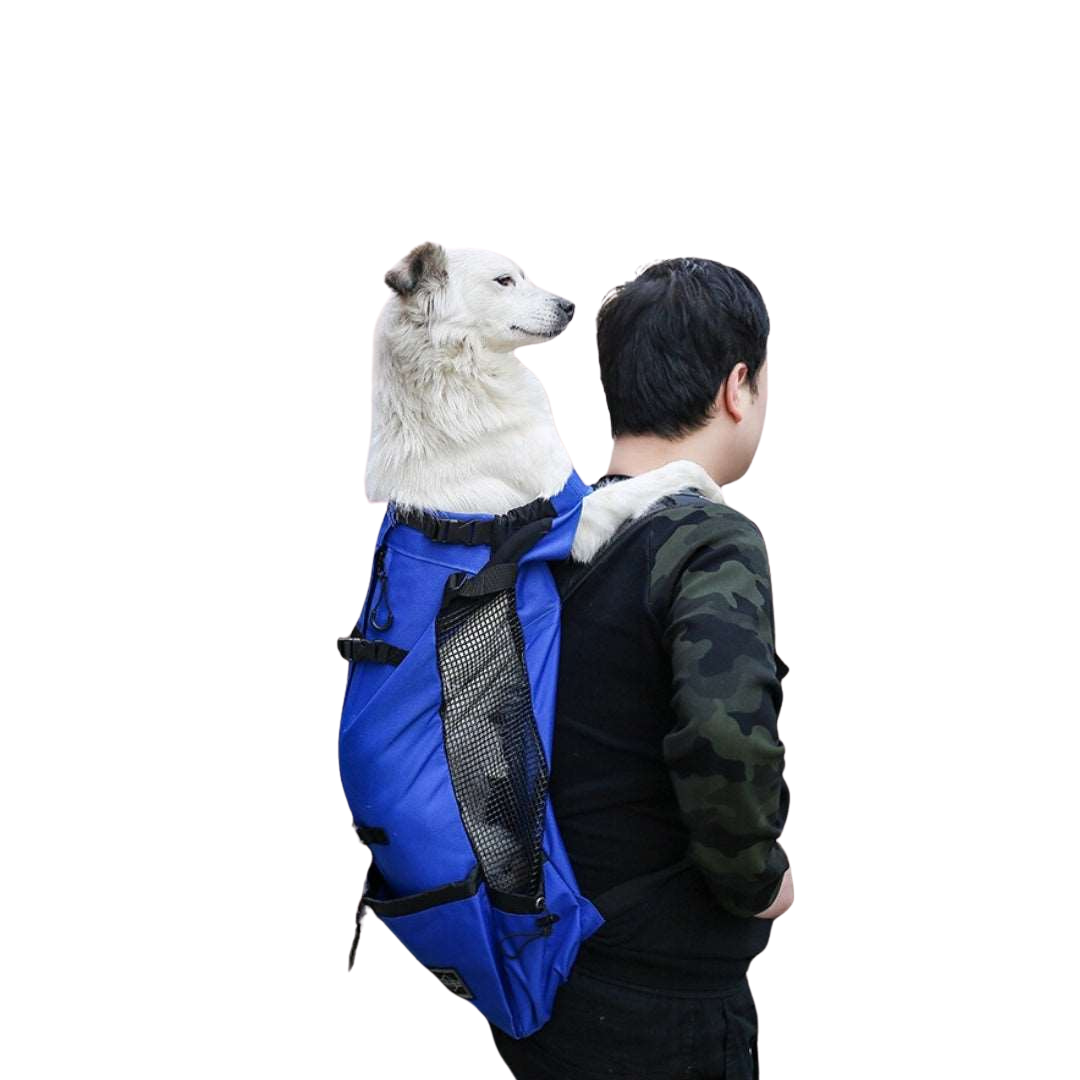 a picture of a human with a dog carrier backpack in blue with a white dog inside