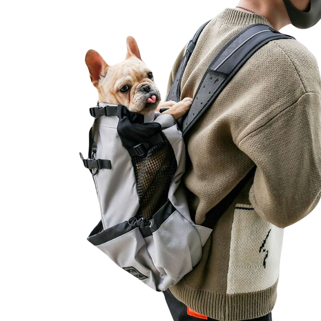 a picture of a human with a dog carrier backpack in grey with a french bulldog inside