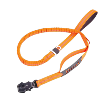 Protector Frog Buckle Traction Leash