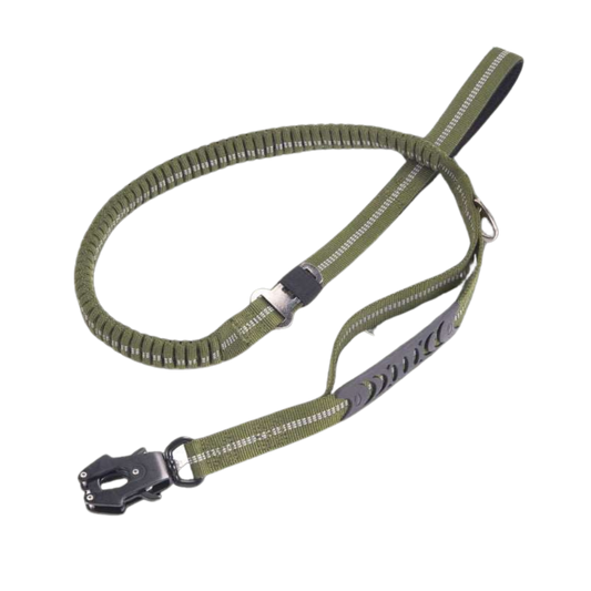 Protector Frog Buckle Traction Leash