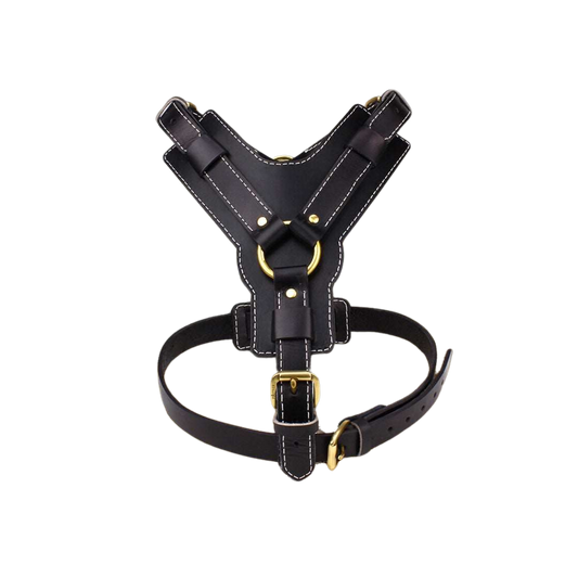 Matterhorn Heritage Leather Harness