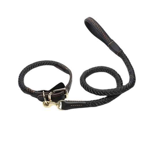 Mont Blanc Heritage Collar & Leash