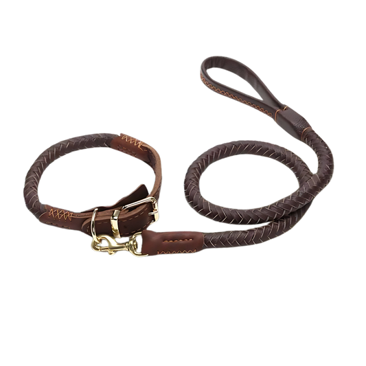 Mont Blanc Heritage Collar & Leash