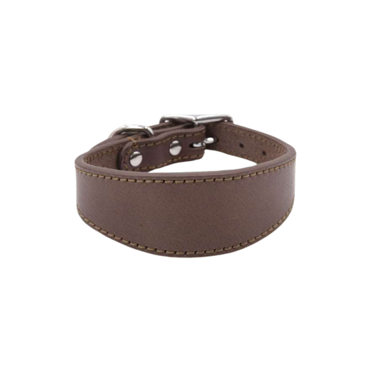 Rainier Ridge Heritage Collar