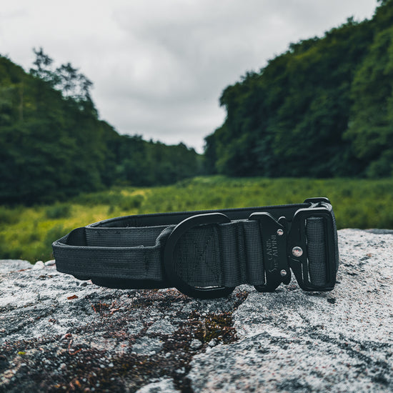 tactical dog collar black 