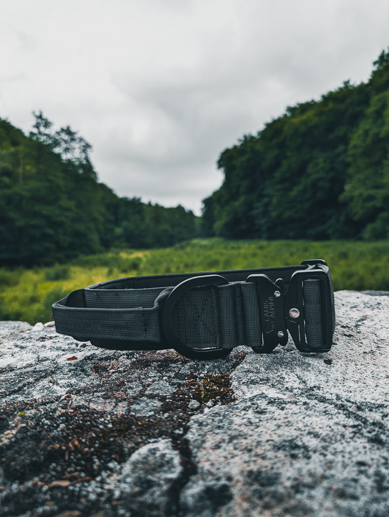 tactical dog collar black 