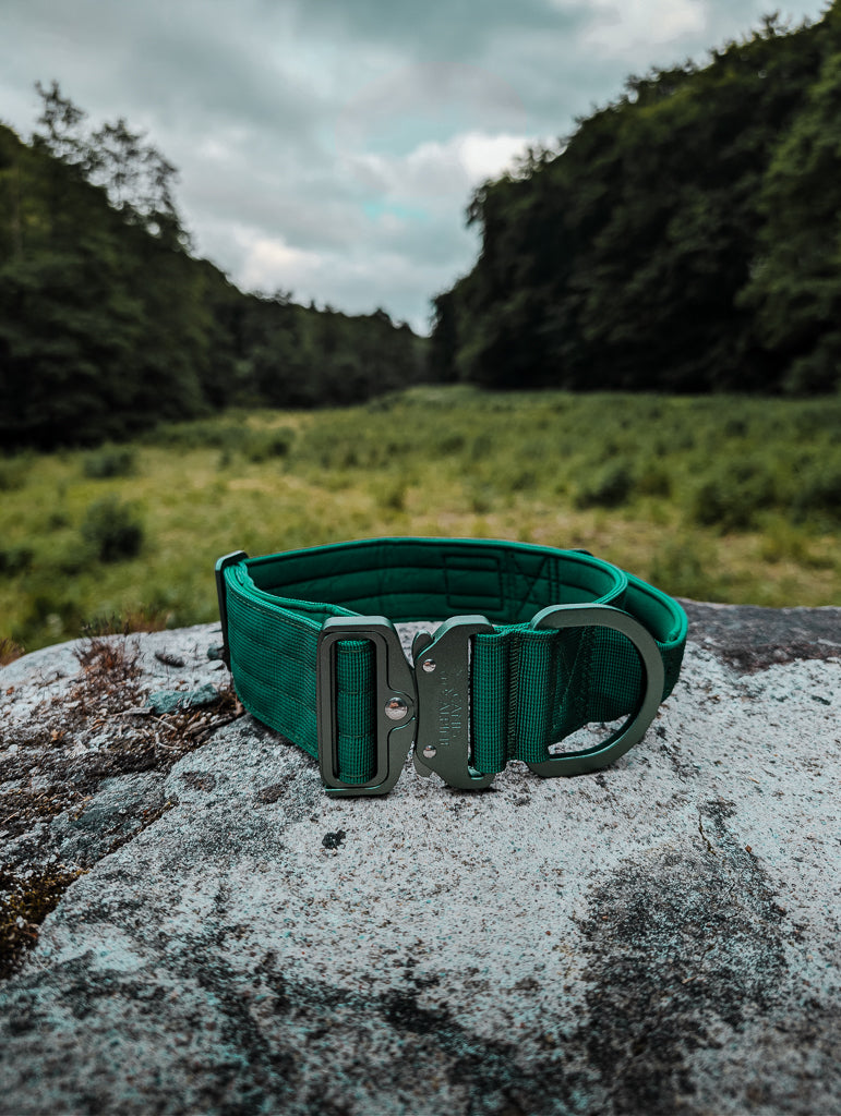 tactical dog collar green 