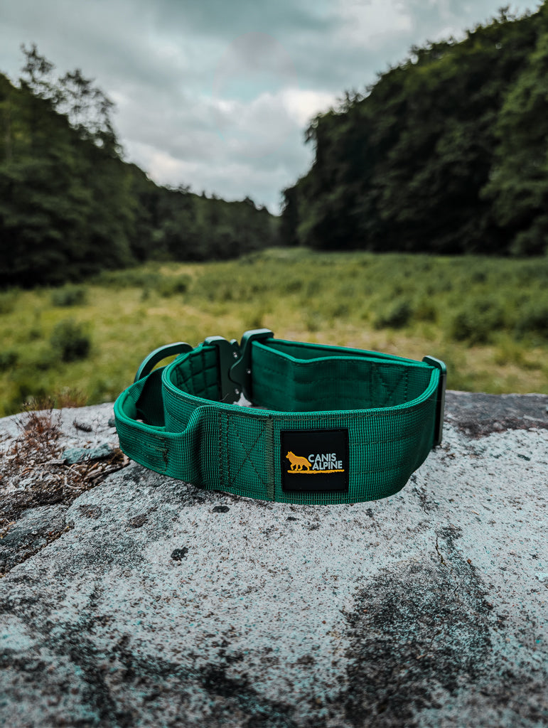 tactical dog collar green 