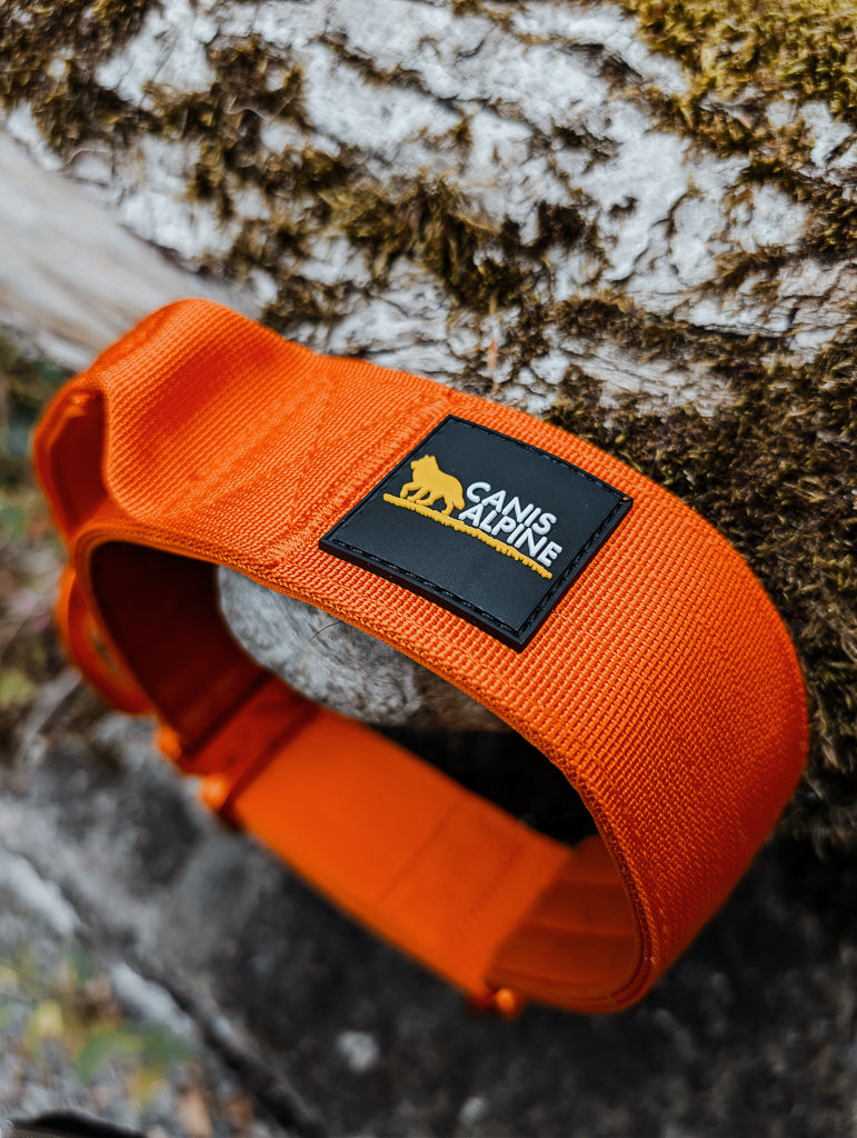tactical dog collar orange 