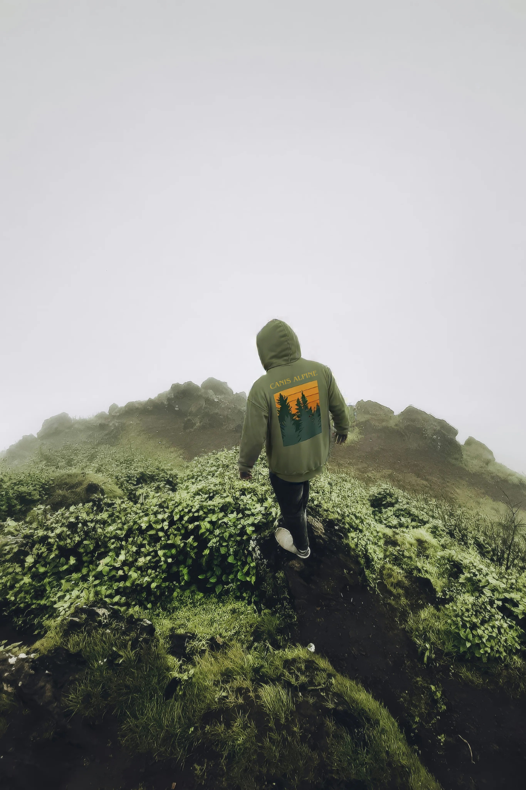 Trans Pinorum Unisex Hoodie