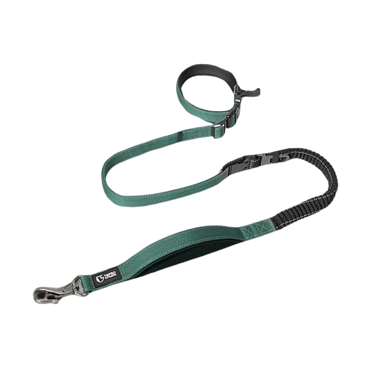 TSPRO Protector Traction Leash